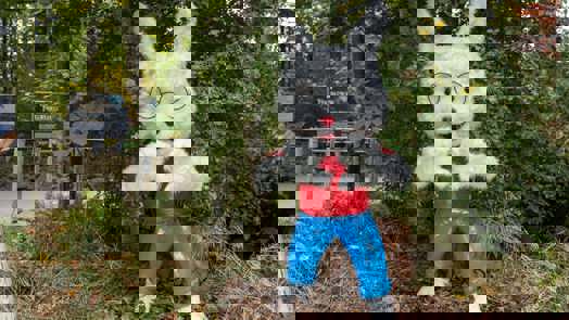 Werwolf