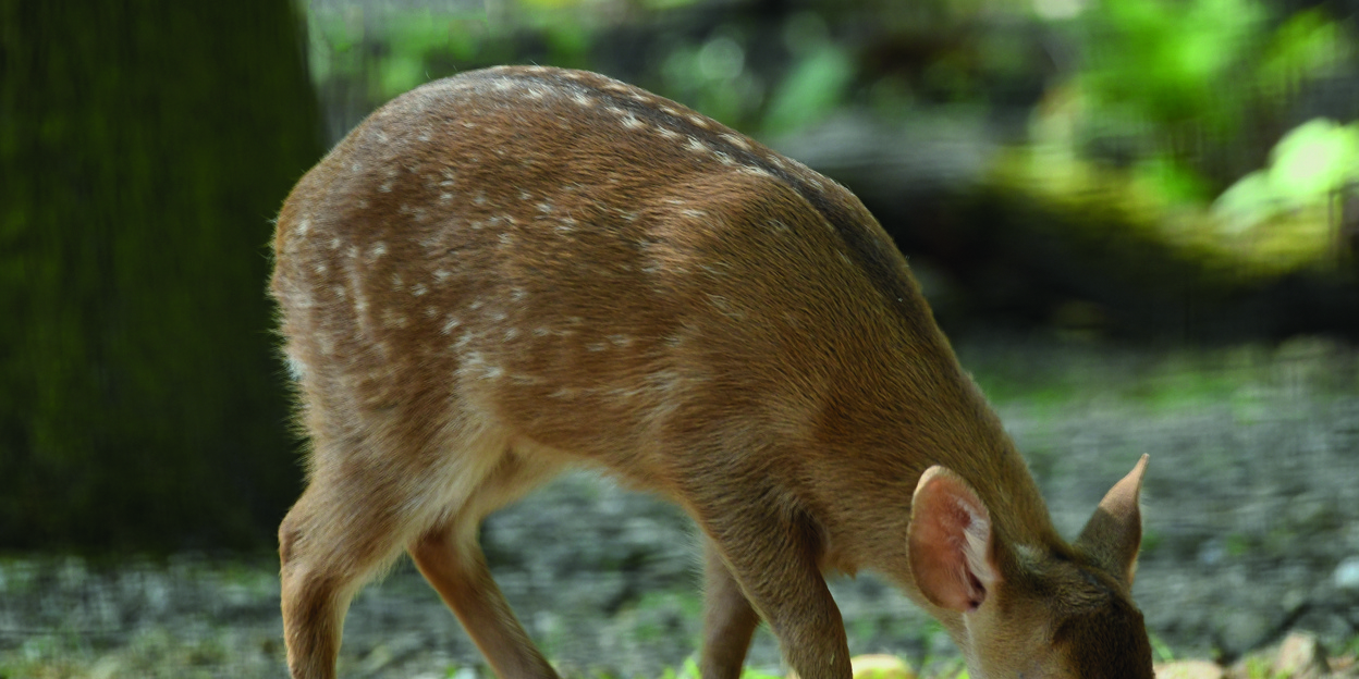 Rückblick auf das Jahr 2023 
