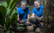 Burgers' Zoo nimmt beschlagnahmte Schildkrötten auf