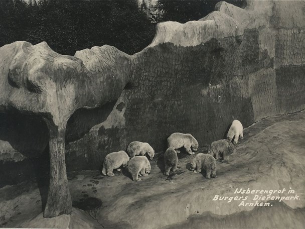 Natürliche Lebensräume (1934)