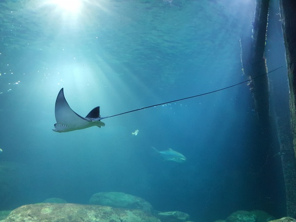 Besonderes Verhalten