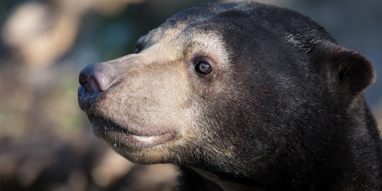 Zoo(m): Details aus der Welt hinter den Kulissen des Tierparks