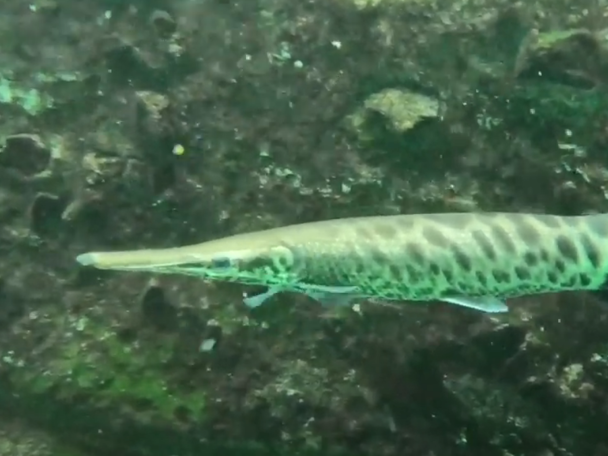 Vor der Fensterscheibe