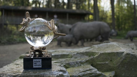 Drei junge Naturschützer gewinnen begehrte Auszeichnung