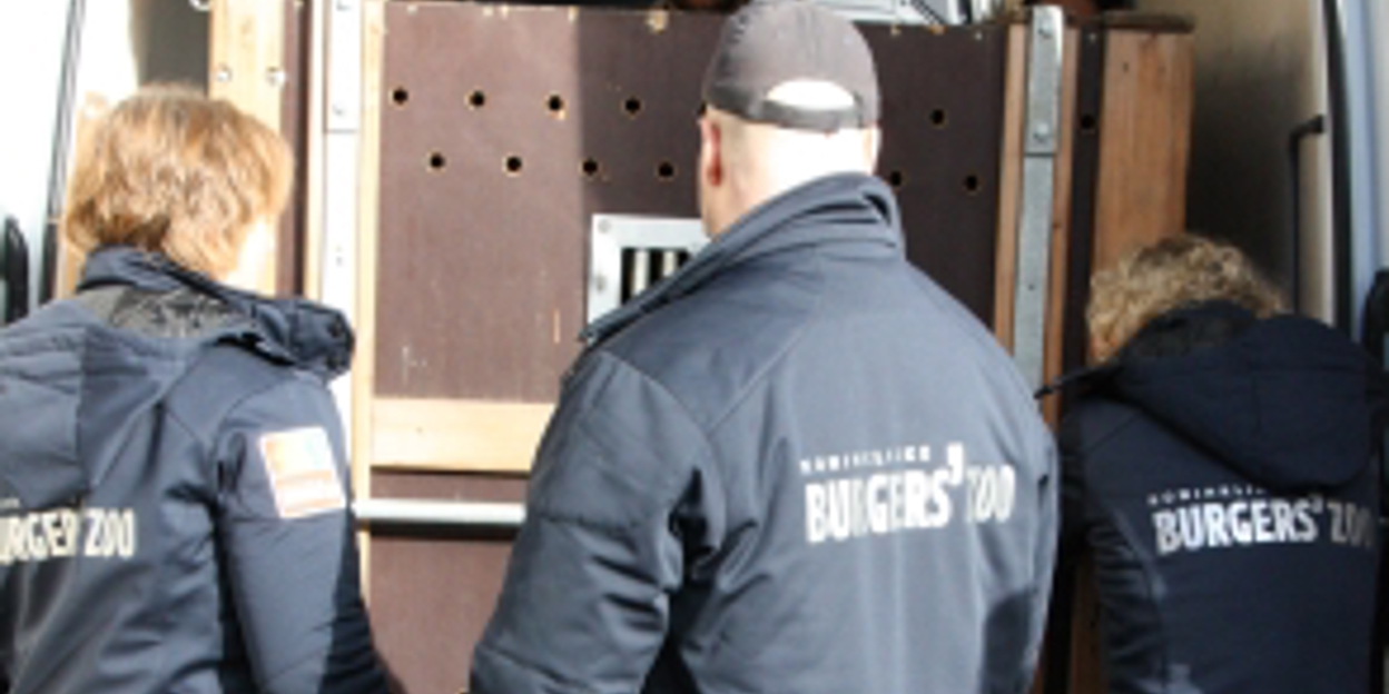 Shaila bezieht neues Zuhause in Heidelberg