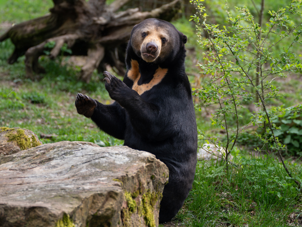 ef71b8f0-0ca4-468b-b88b-b97a14ff0f1c