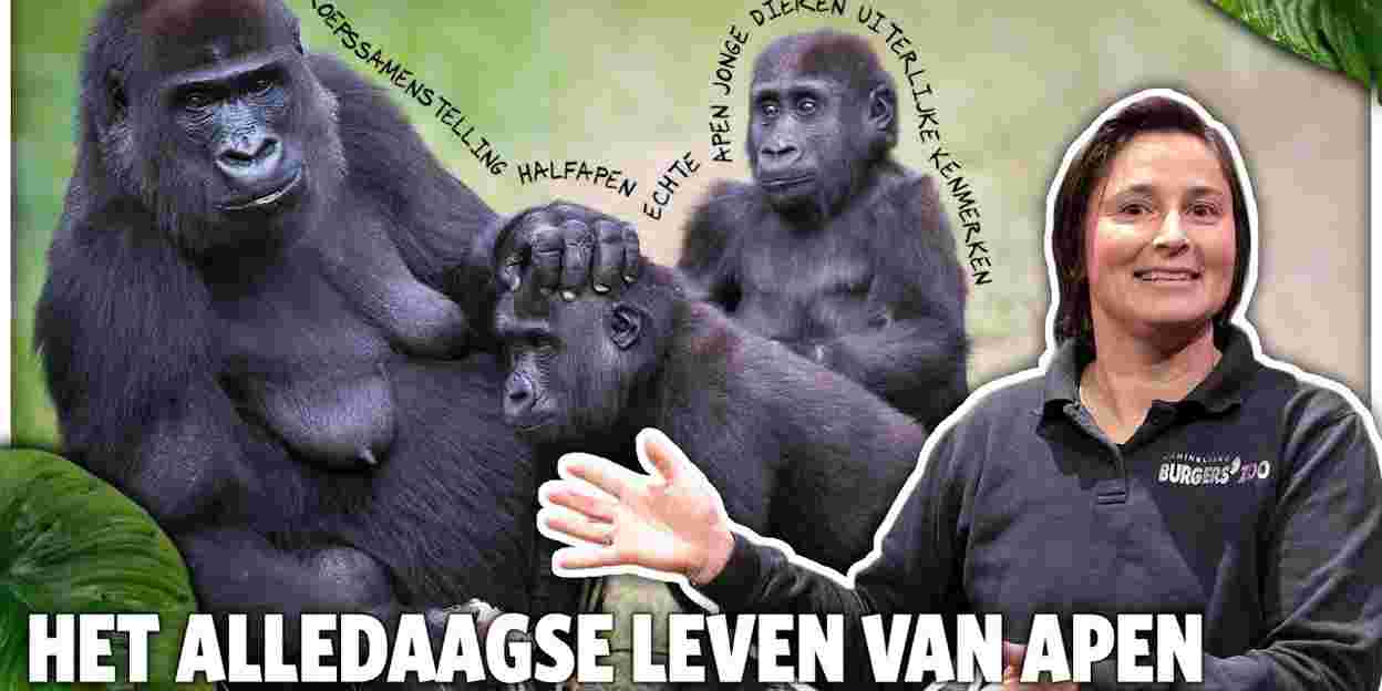 Neu: Burgers’ Zoo Vorlesungen